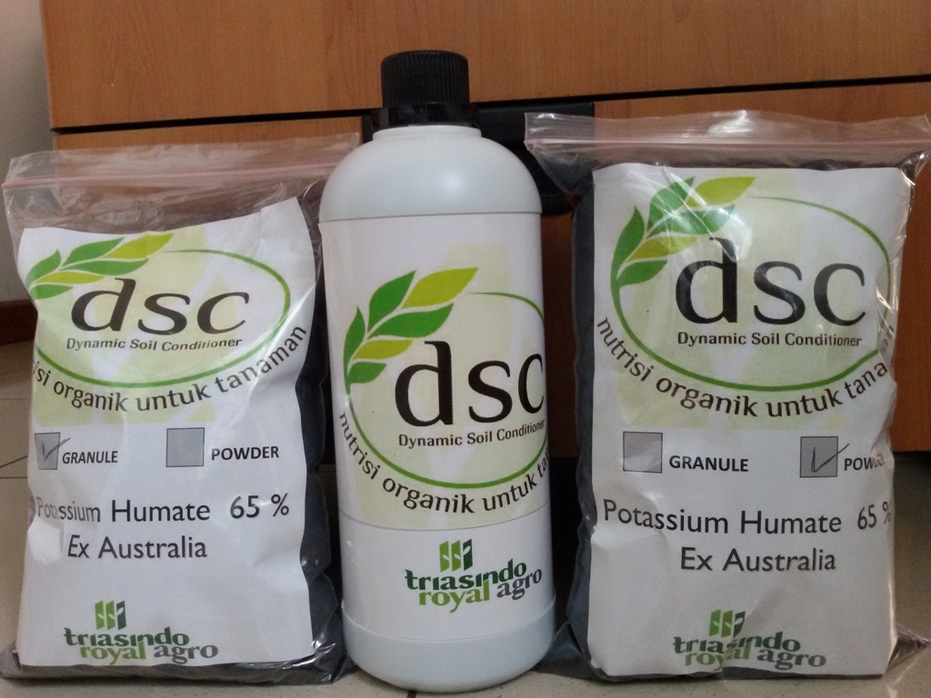 DSC Humic Acid