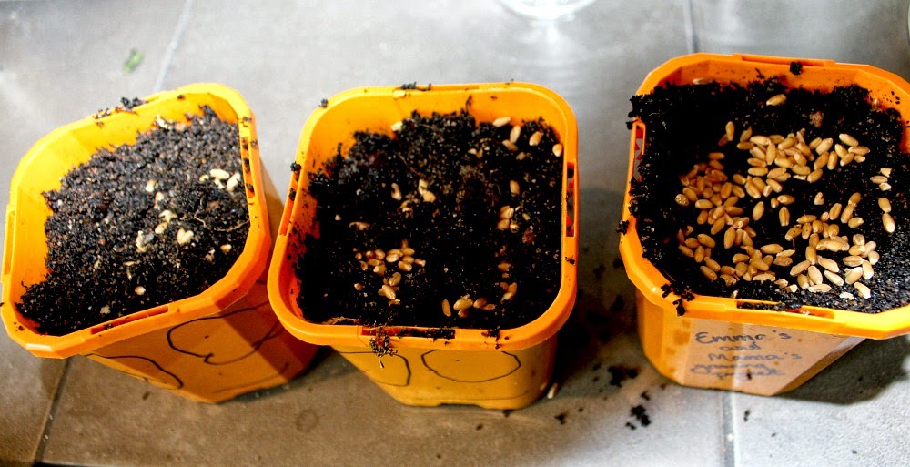 Little people design Growing hair to pot friends