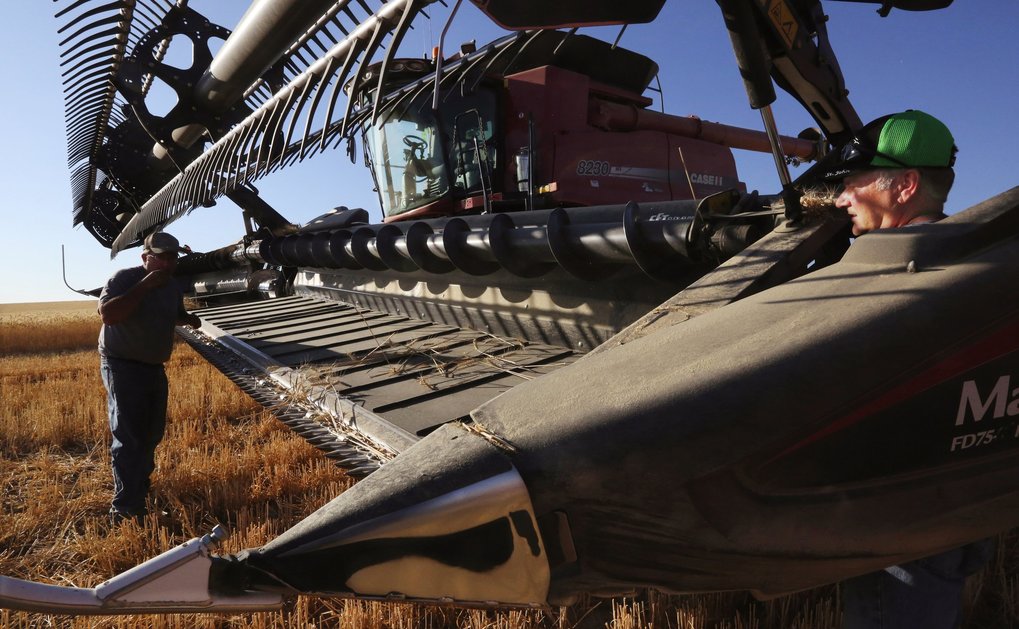 Harvest Casual Jobs Available JOBS FARMS