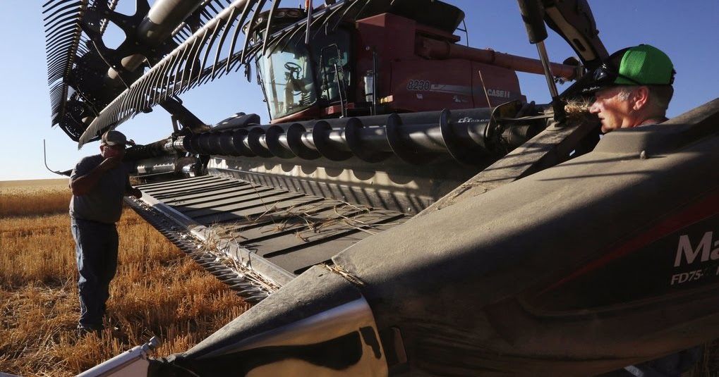 Harvest Casual Jobs Available JOBS FARMS