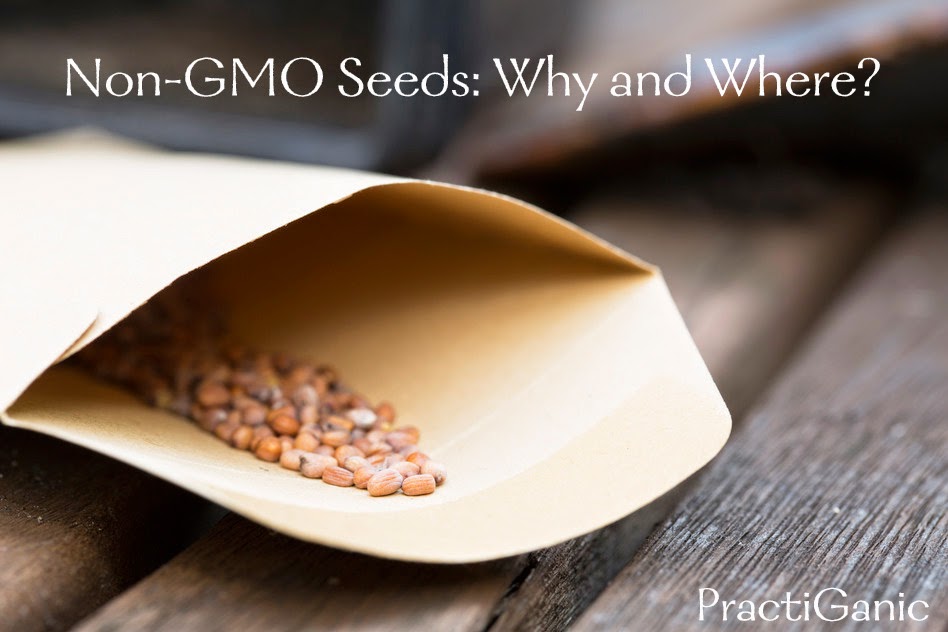 Non-GMO Seeds