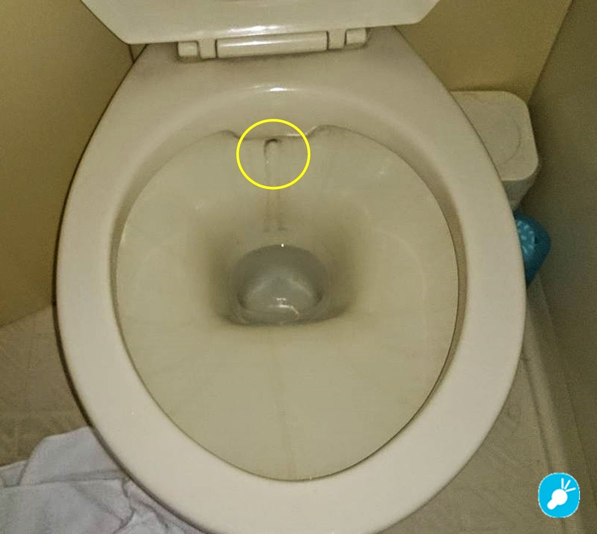 株式会社アイズ スタッフブログ トイレの黒ずみの原因 ⇒ ゴムフロートが怪しい！