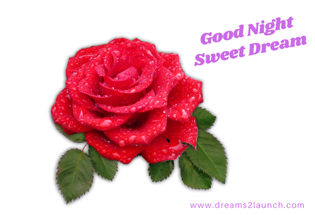 good night red rose