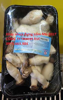 Khay nhựa không nắp đựng thực phẩm