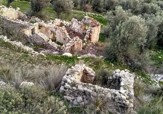 Ένας ξεχασμένος αρχαίος δρόμος στην Αργολίδα - Έκκληση από Ελληνίδα του εξωτερικού για την συντήρηση του