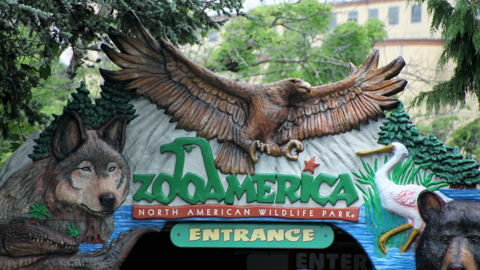 How To teach Zoo In America Like A pro