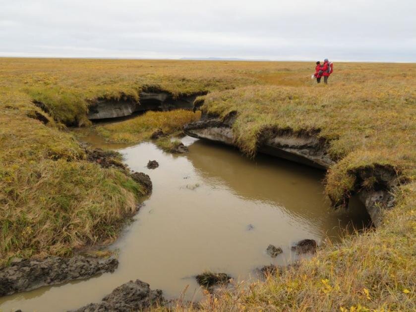 Tanih permafrost