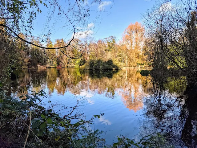 Lake at Altamont Gardens in Ireland