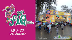 29º FESTIVAL DE INVERNO