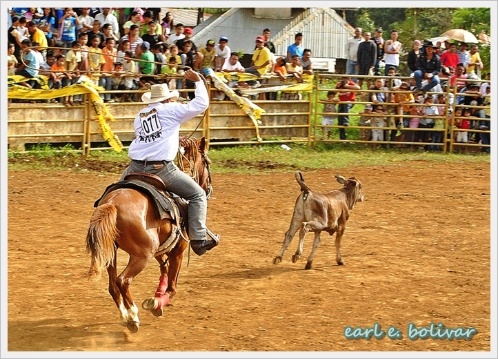 Bukidnon Photo Journal: Wild, Wild West Action of the Kaamulan Rodeo 2012