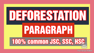 Deforestation Paragraph