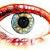 Structure and Functions of Human Eyes