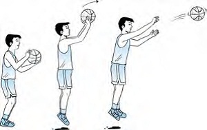 Teknik Cara Melakukan Shooting Bola Basket Yang Benar Beserta Gambarnya Ilmuips My Id Materi Belajar Gratis
