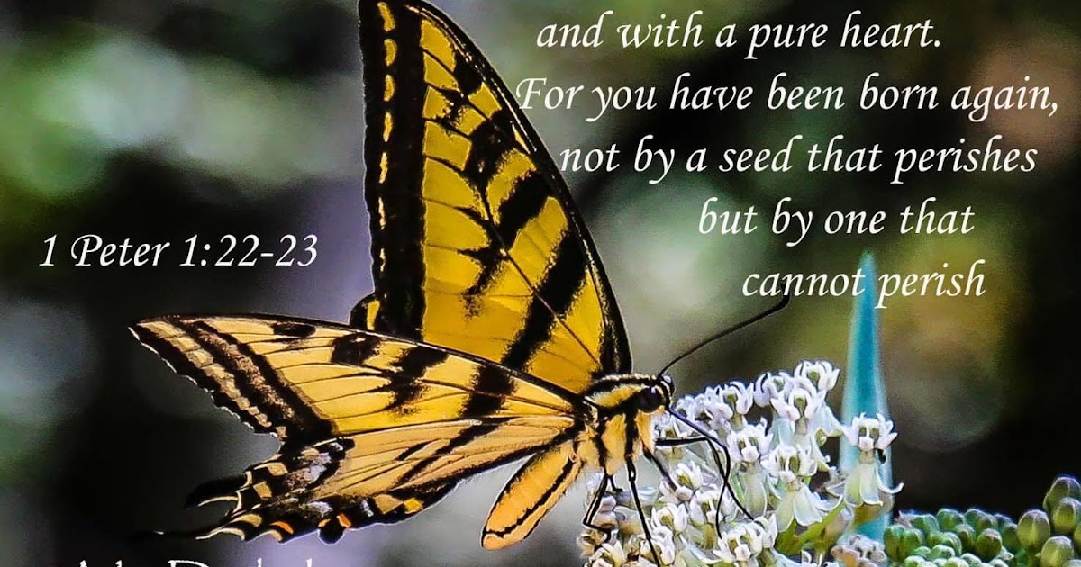 My Daily Inspiration Bible Verses my-daily-inspiration-bible-verses