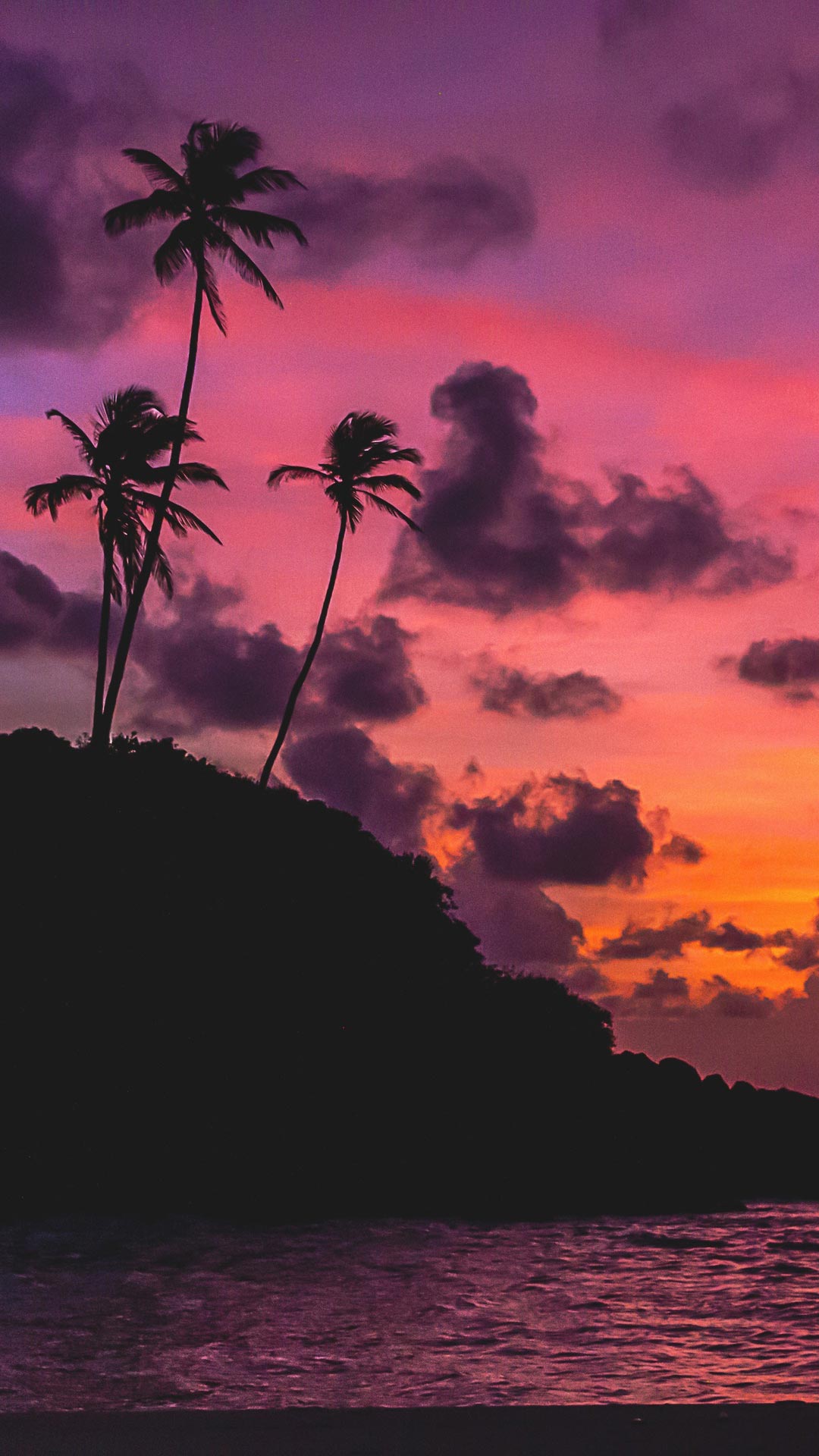Pink Sunset Tropical Island Palm Trees Sea