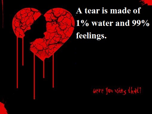 790 whatsapp dp profile pictures photos 2020 thaljobs com latest jobs in pak 790 whatsapp dp profile pictures photos