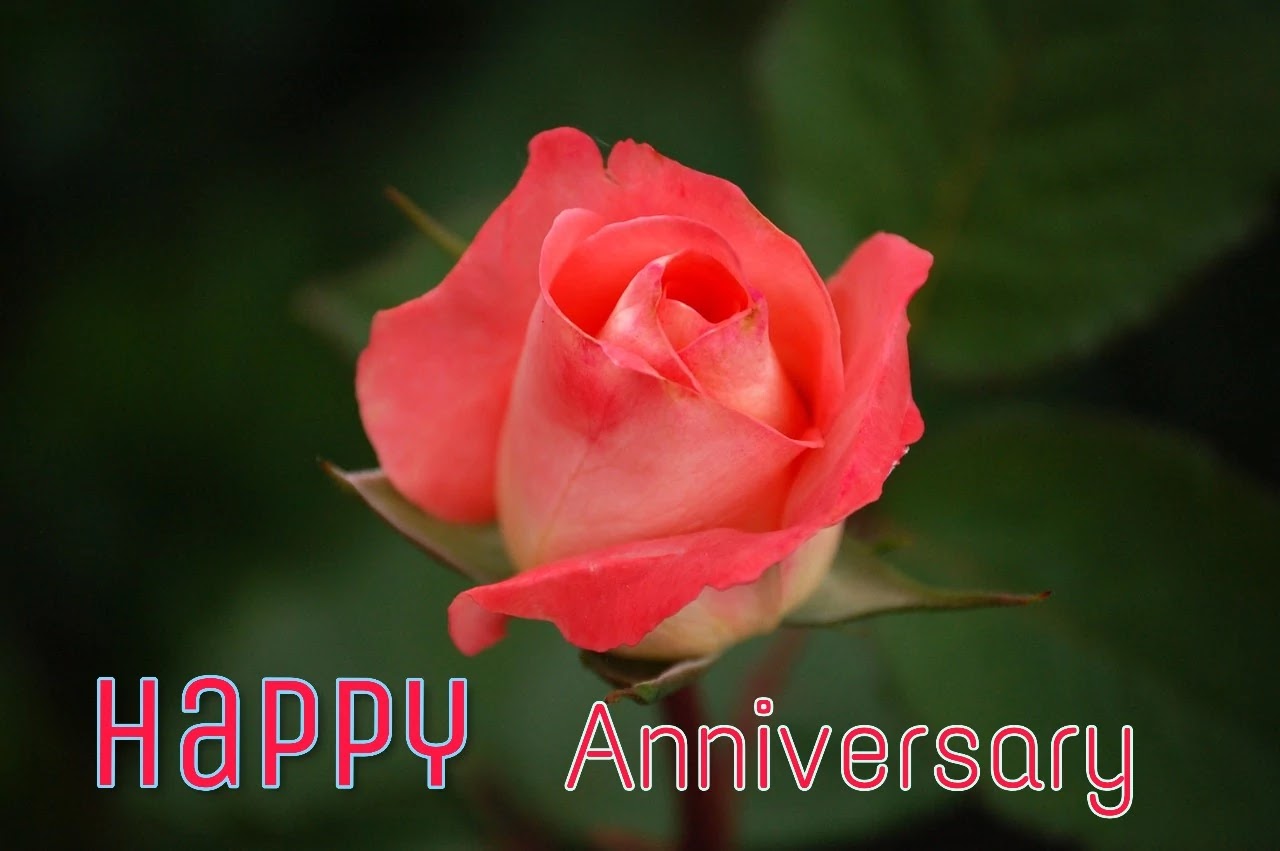 Happy Marriage Anniversary Wishes Images Free Download ...