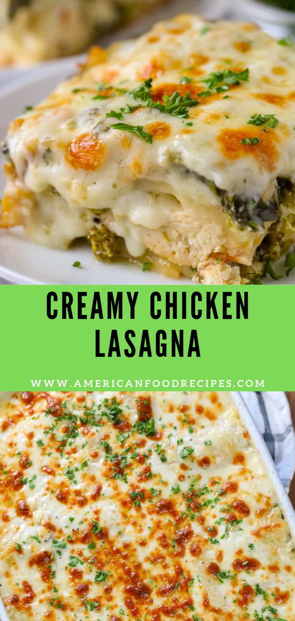 Creamy Chicken Lasagna - American Food Recipes