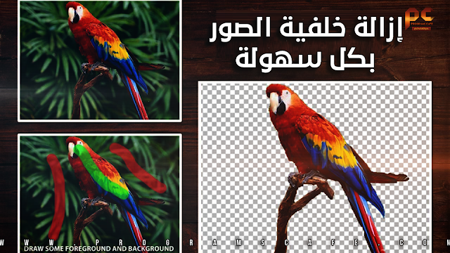 إزالة خلفية الصور بكل سهولة مع هذا البرنامج الرائع | Teorex PhotoScissors 8.1