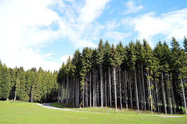 monte zovetto