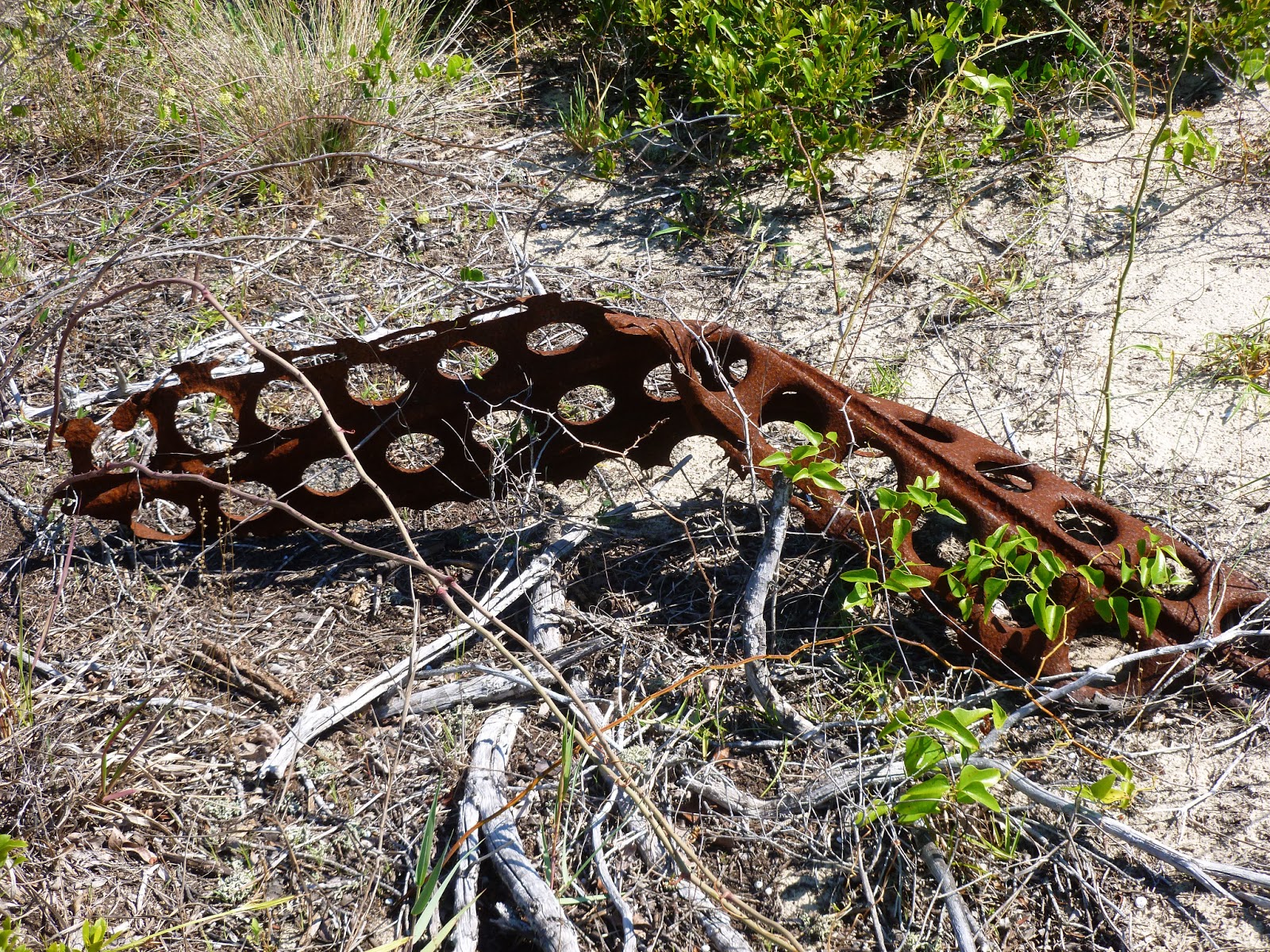 Ocracoke Island Journal Marsden Mats