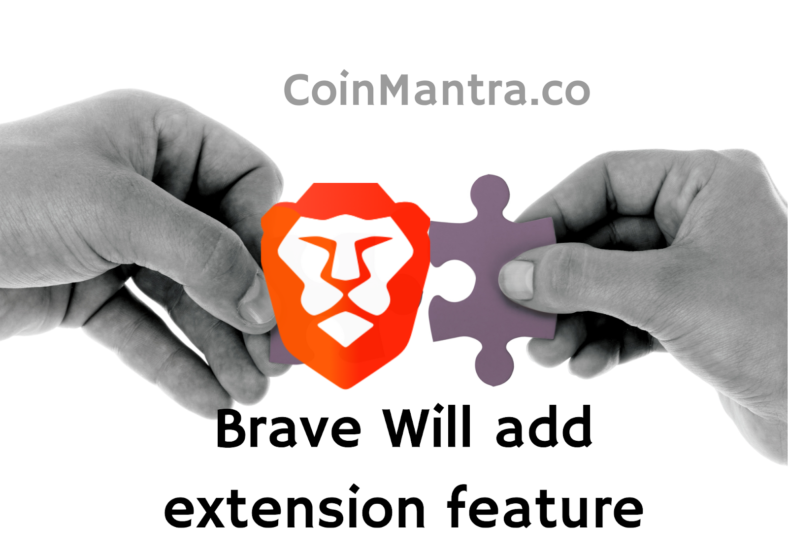 1password brave extension 1password brave extension