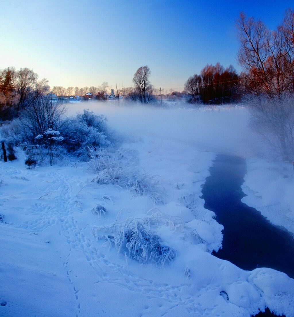 Подмосковная зима. Зимний подмосковный лес фото.