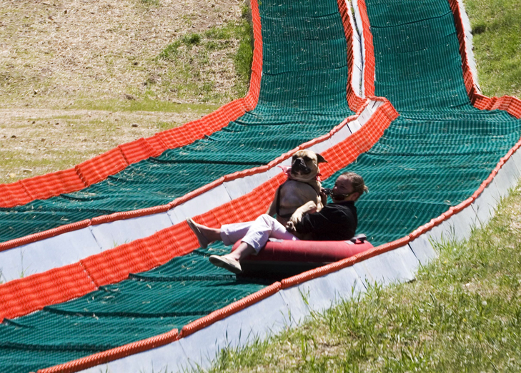 Travelin' Jack's Dog Blog SUMMER TUBING.....FOR DOGS OR NOT FOR DOGS