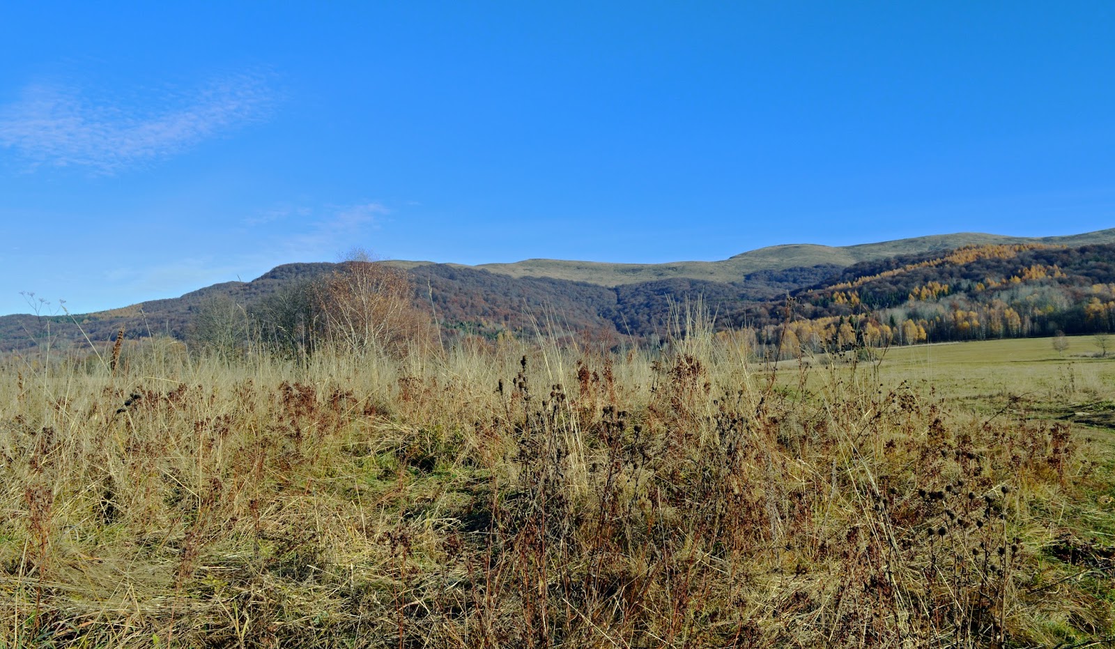 Bieszczady Szlak Wołosate