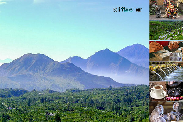 Ubud Kintamani Tour: Bali Day Tours to See Volcano & Rice Terrace Bali Full Day Kintamani Volcano Tour with Ubud Village and Rice Terraces - Bali Trip Activities Package and Bali Tourist Attractions
