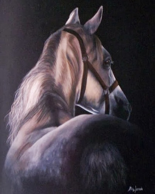 caballos-hermosos