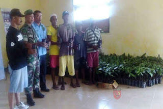 Masyarakat Pelauw Terima 1.024 Bibit Pala 1 Kodam beri bibit pala2