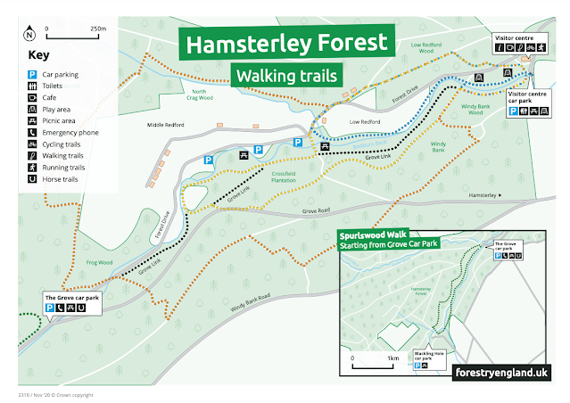 Superworm Trail & Dog Walks at Hamsterley Forest  - dog walking routes