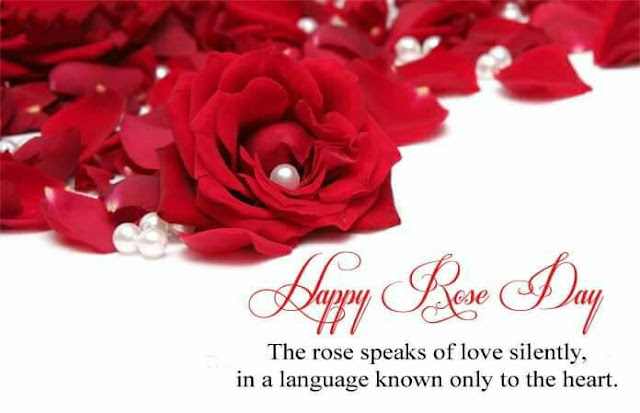 rose day quotes, quotes on rose day, rose day quotes for him, rose day quotes for love, rose day quotes for husband, rose day quotes for boyfriend, rose day unique quotes, rose day quotes for friends, rose day quotes in hindi, rose day quotes for wife, rose day quotes for gf, rose day quotes for girlfriend, rose day quotes for her, rose day quotes images, rose day quotes for lover, quotes on rose day for boyfriend, rose day best quotes, rose day images with quotes for husband, rose day quotes 2020, rose day quotes for my husband, happy rose day quotes 2019, rose day quotes for hubby, quotes on rose day for girlfriend, quotes on rose day for husband, rose day quotes for bf, rose day quotes for long distance relationship, rose day quotes for husband in english, rose day quotes for singles