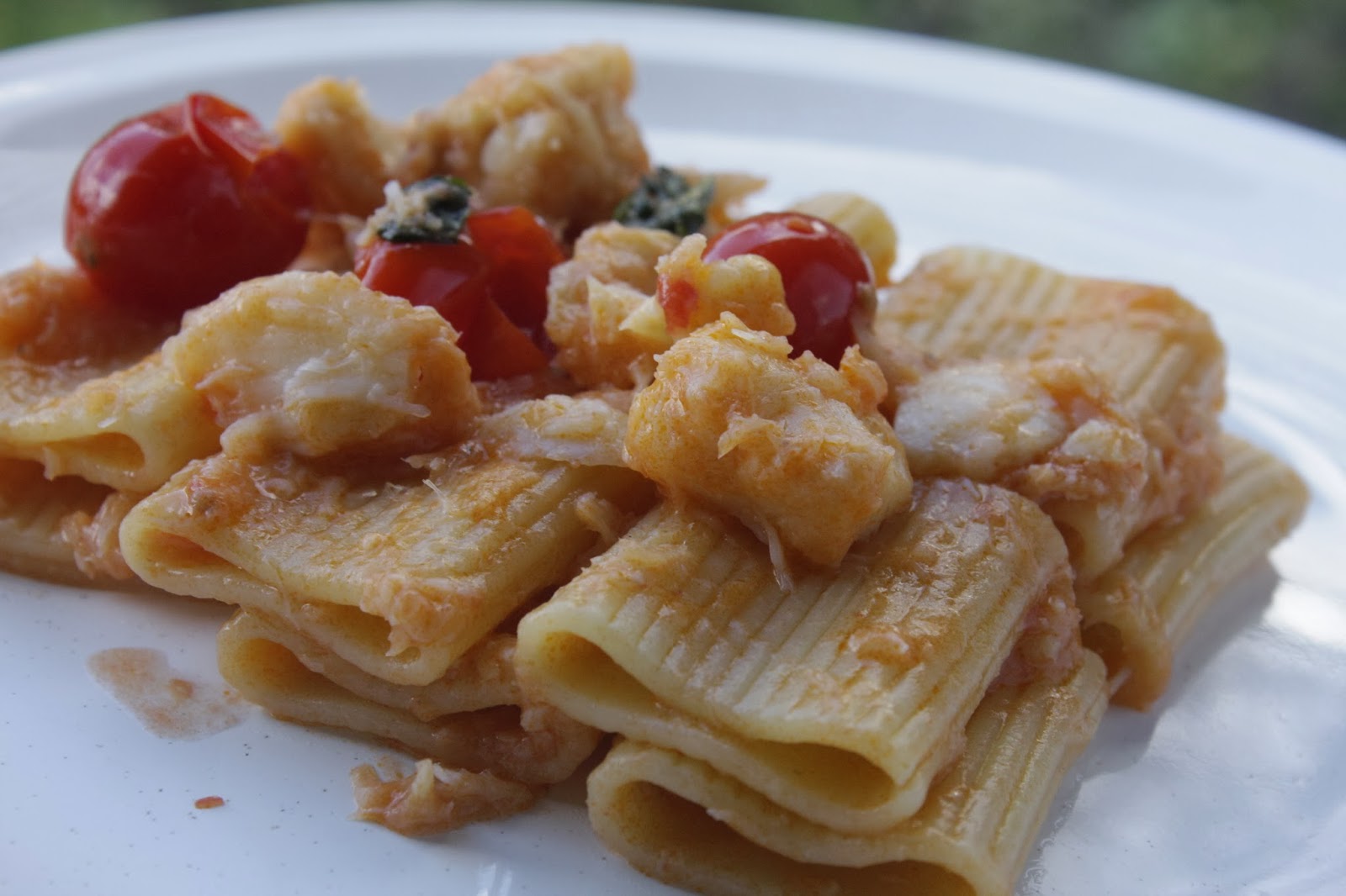 Ricetta Paccheri Con Pomodorini E Baccalà – CXDHVT