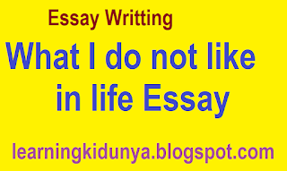 What I do not like in life Essay