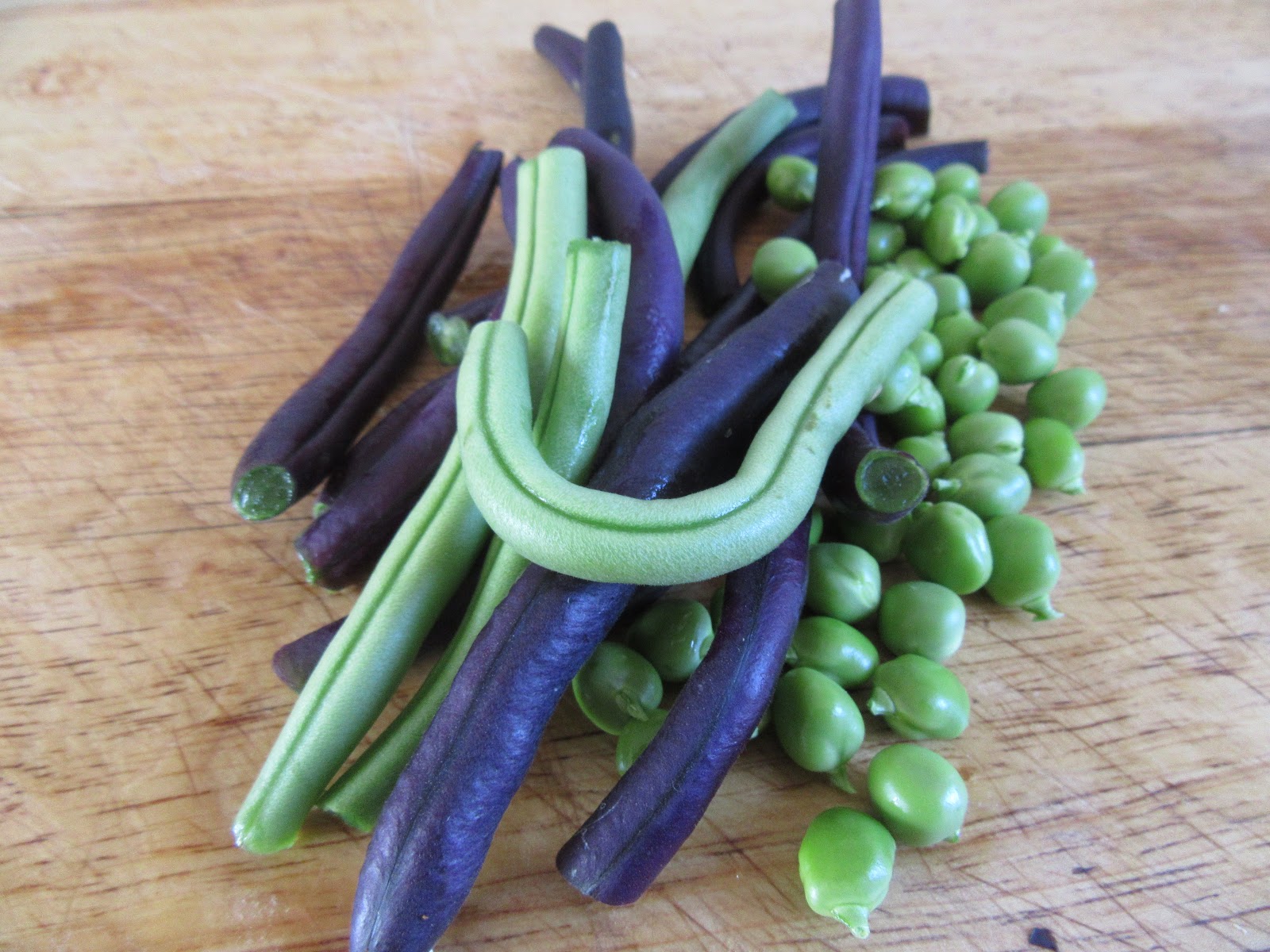 Trish Wish Living Well in Retirement Purple french beans