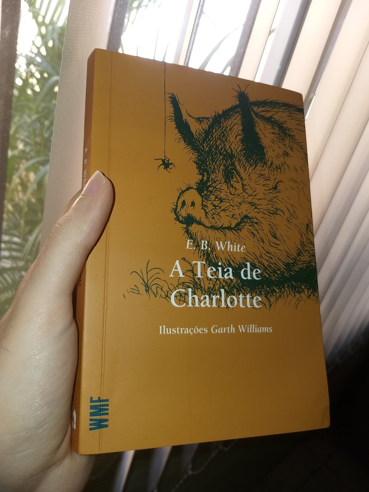 Literatura & EU A Teia de