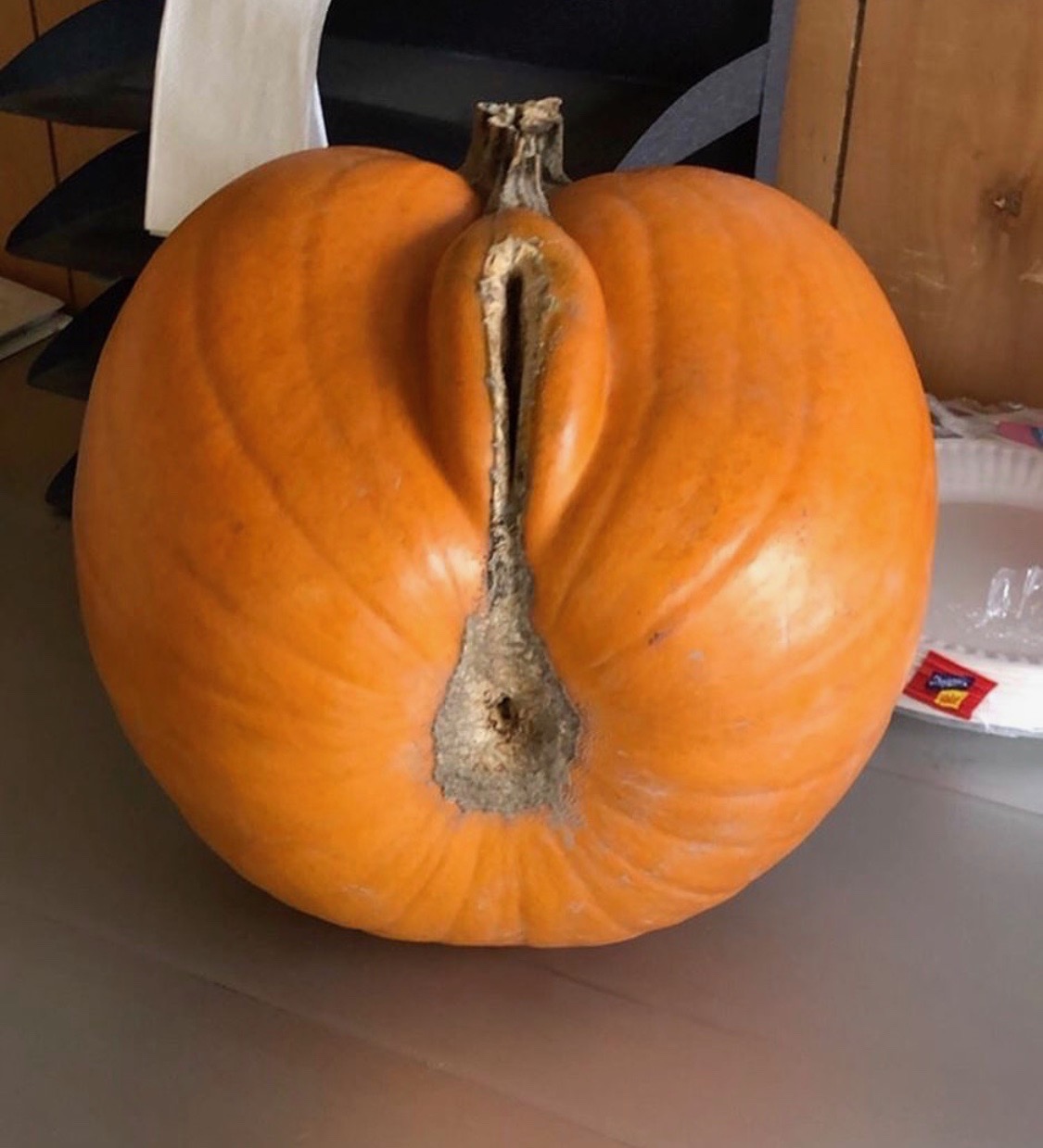 embarrassingly-shaped pumpkin.