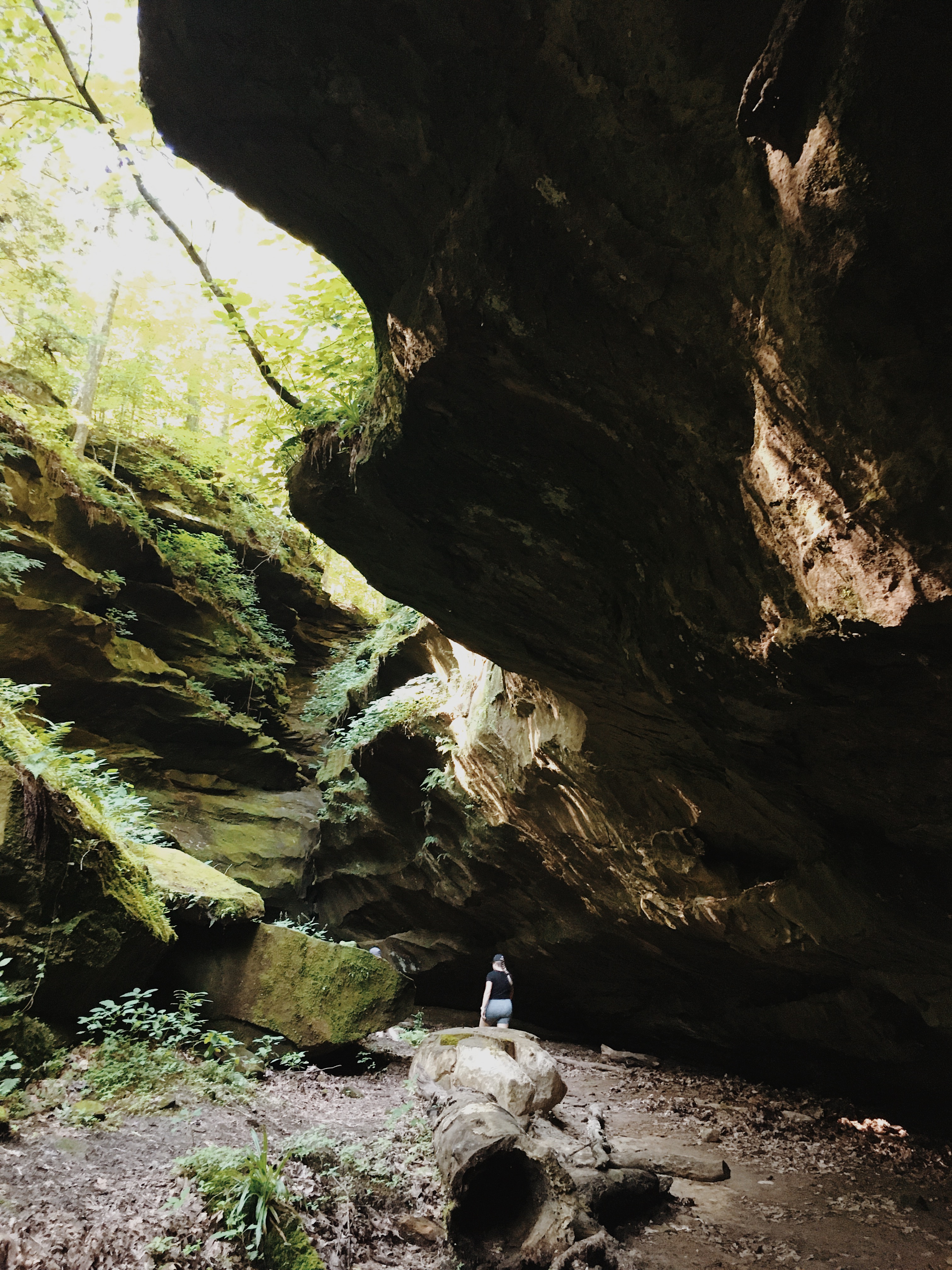 Hoosier National Forest A Little Life