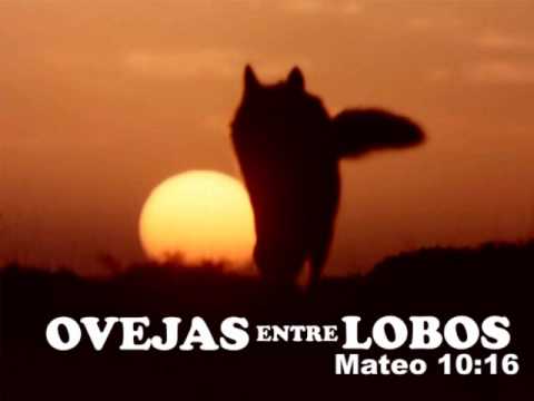 Los Lobos Kiko 1992 2013, MFSL Remastered, Hi-Res
