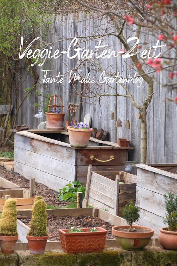 Tante Malis Gartenblog