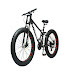 STURDY BIKES Dual Suspension Downhill Fat Mountain Bike (Black)