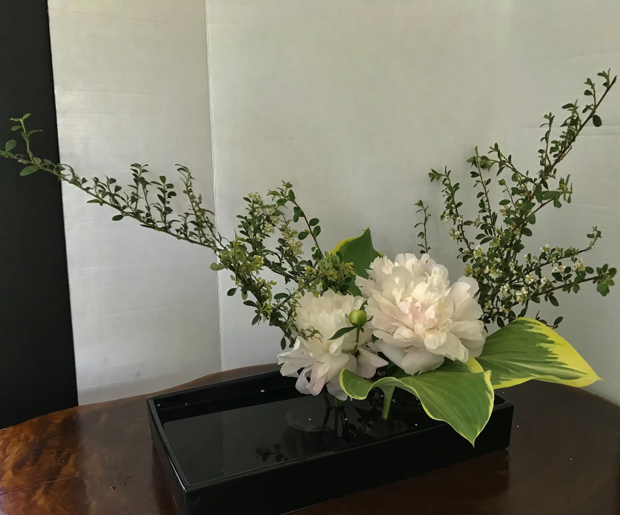 Orchids and Ikebana Basic Style Moribana Using Peony