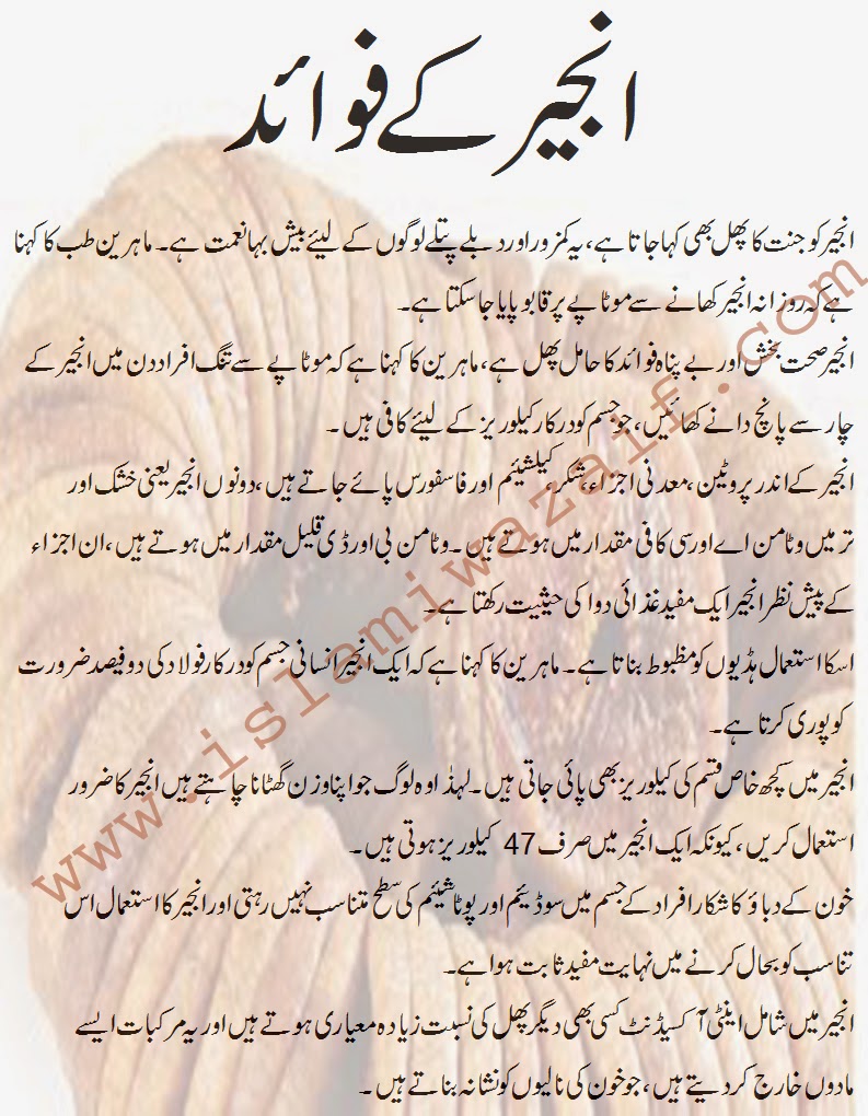 Anjeer K Fawaid In Urdu IslamiWazaif