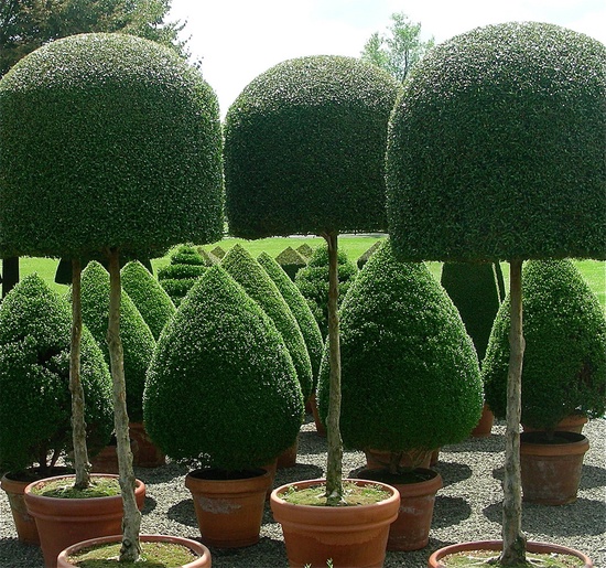 Beautiful Topiary Gardens