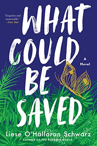 Review: What Could Be Saved by Liese O’Halloran Schwarz