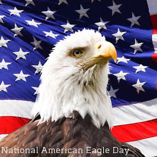 National American Eagle Day HD Pictures, Wallpapers