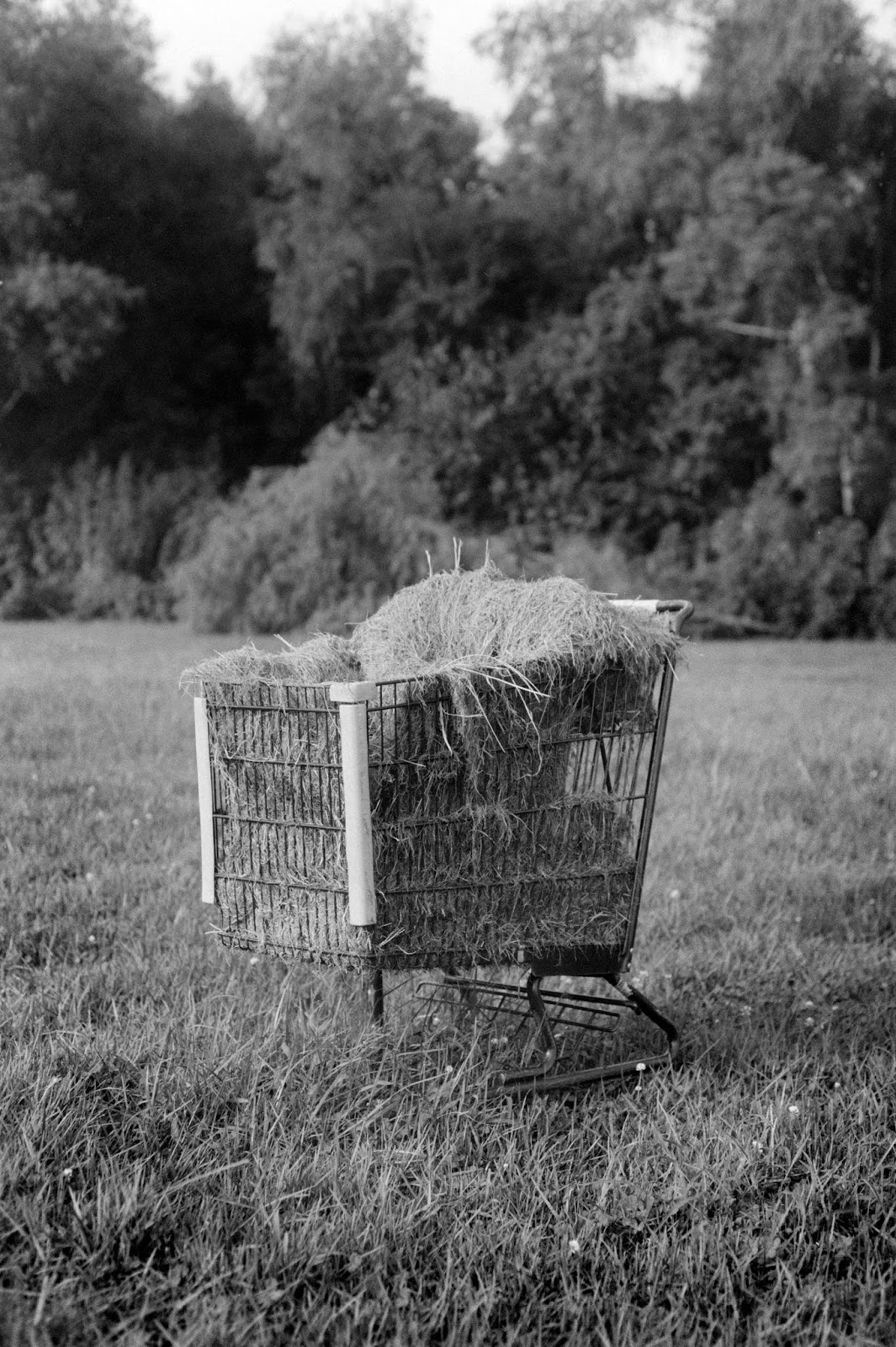 brennanprobst.com: Spotlight: Nikon FG