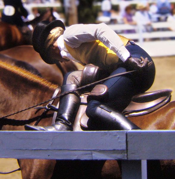 Grace Elliot blog. Did Anne Boleyn Ride Astride?